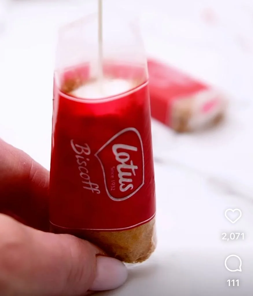 שלגוני מיני לוטוס של מיס פטל